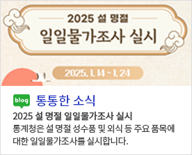 2025 설 명절 일일물가조사 실시
2025.1.14~1.24 
통계청은 설 명절 성수품 및 외식 등 주요 품목에 대한 일일물가조사를 실시합니다.